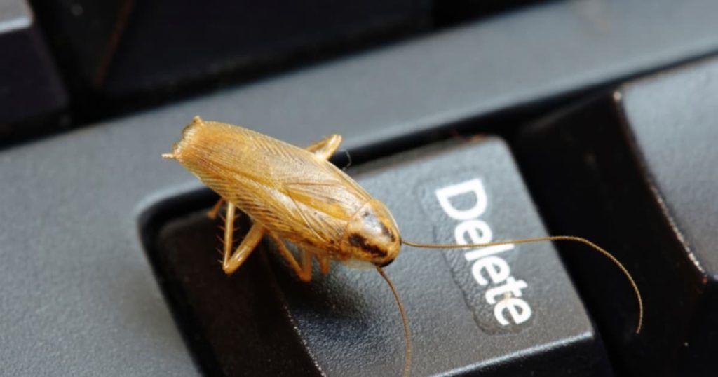 Уничтожение тараканов в офисе в Набережных Челнах